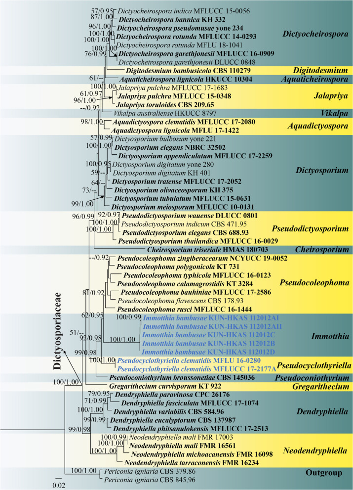 FIGURE 4