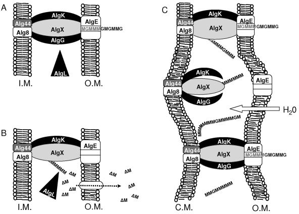 FIG. 9.