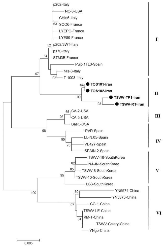 Fig. 5