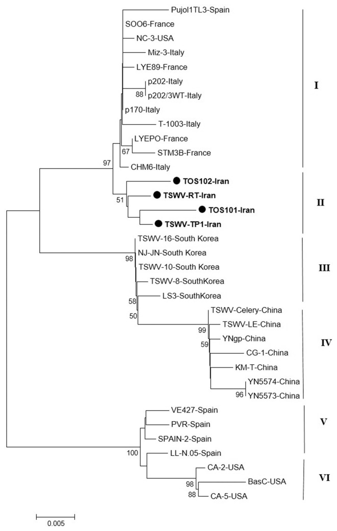 Fig. 6