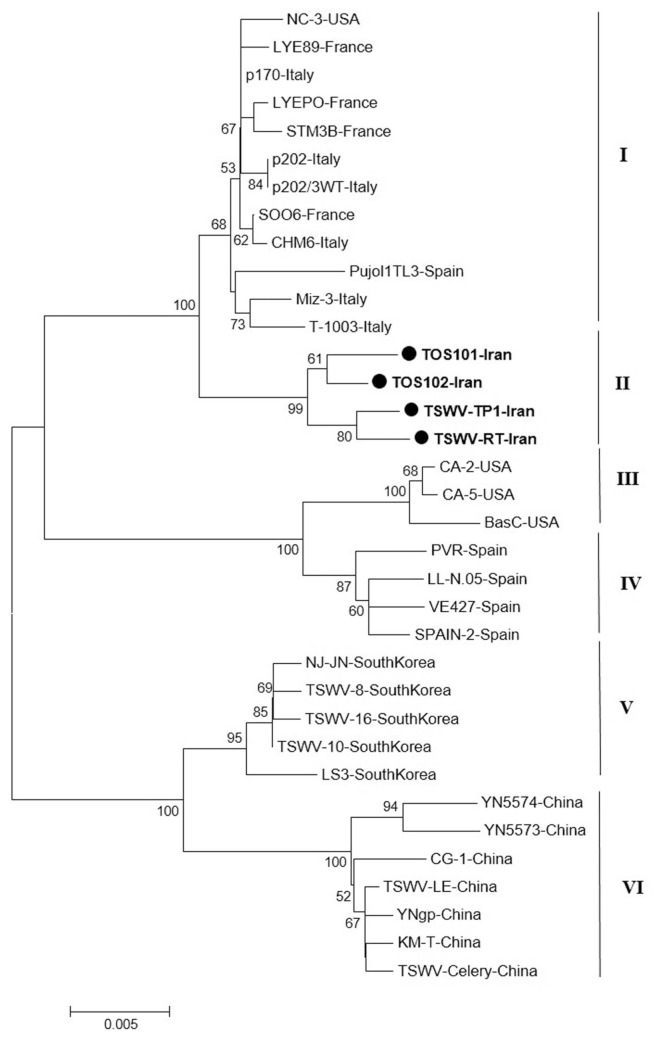 Fig. 7