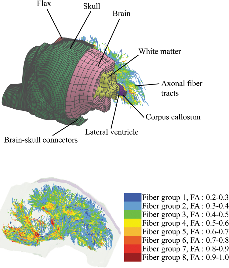 FIG. 2.