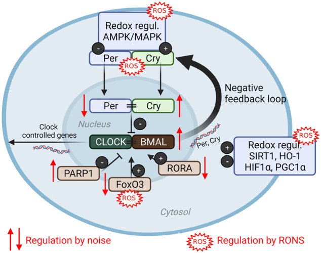 FIGURE 4