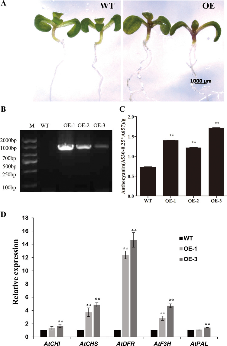 Figure 6