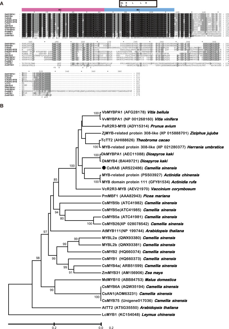 Figure 4