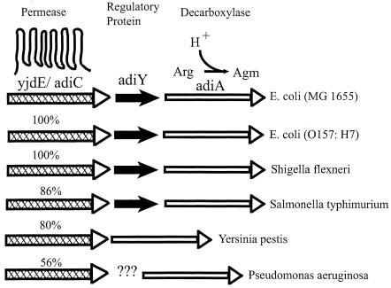 FIG. 7.