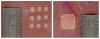 Fig. 11