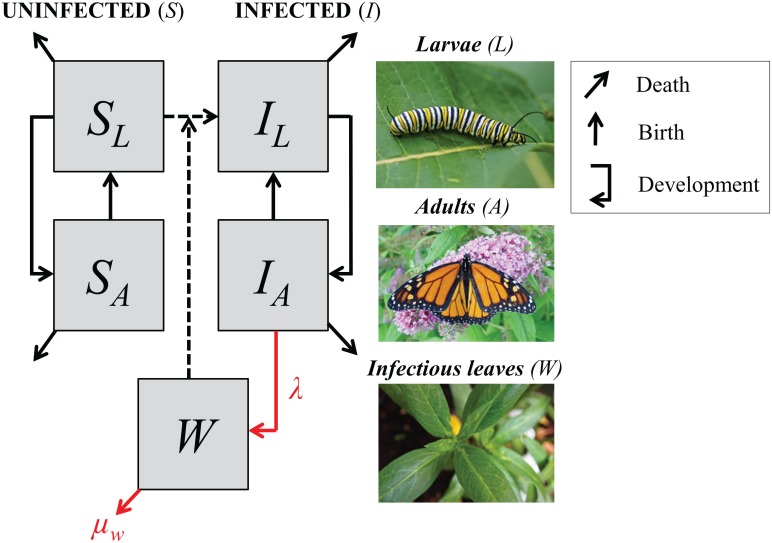 Fig 1