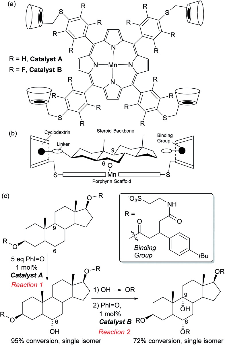 Fig. 10