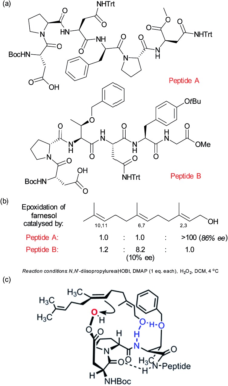 Fig. 12