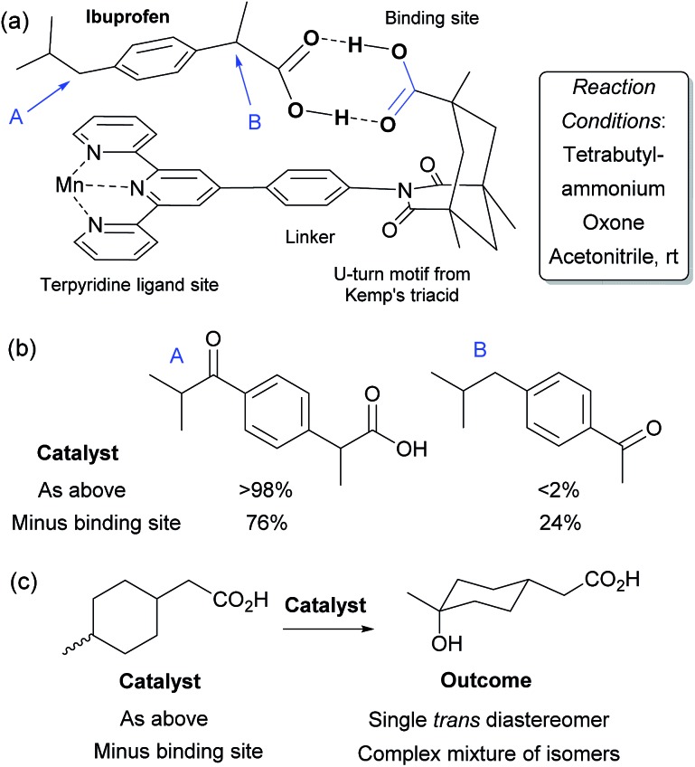 Fig. 11