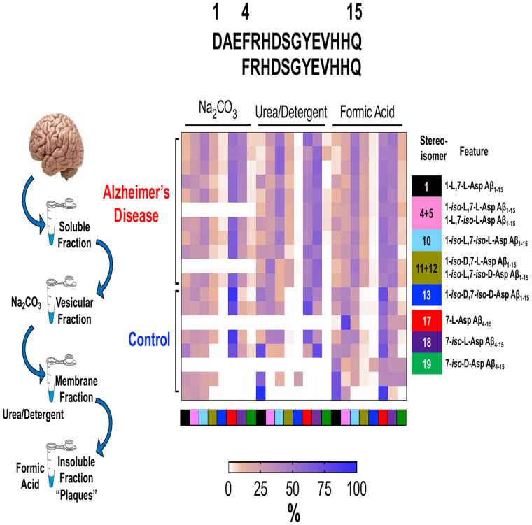 Graphical Abstract