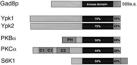 graphic file with name cdg298f2.jpg