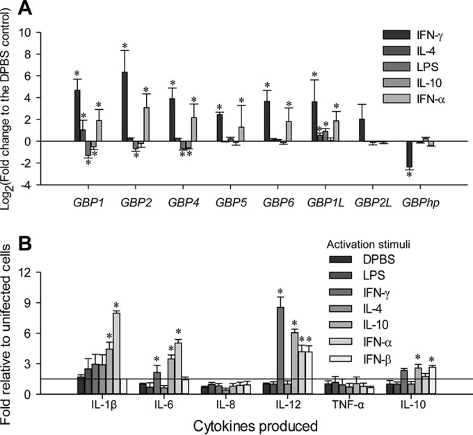 FIG 2