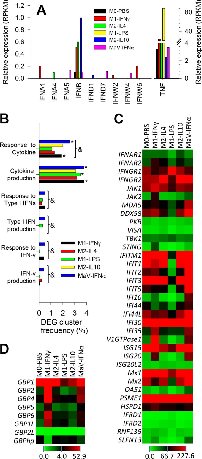 FIG 4