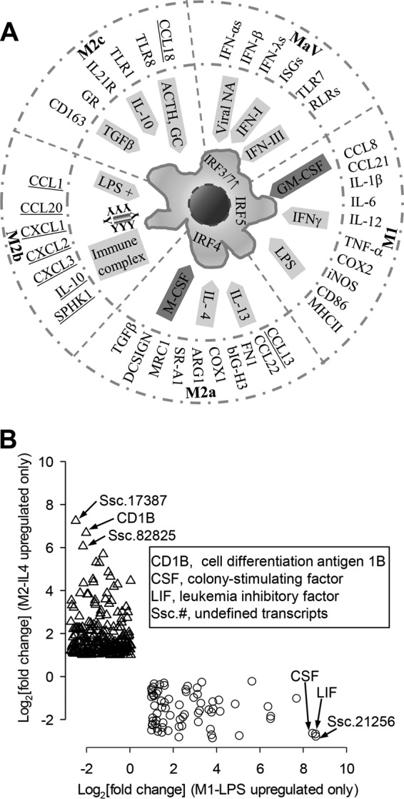 FIG 1