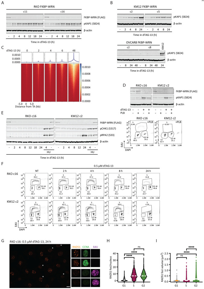 Fig 2.