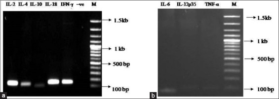 Figure-3