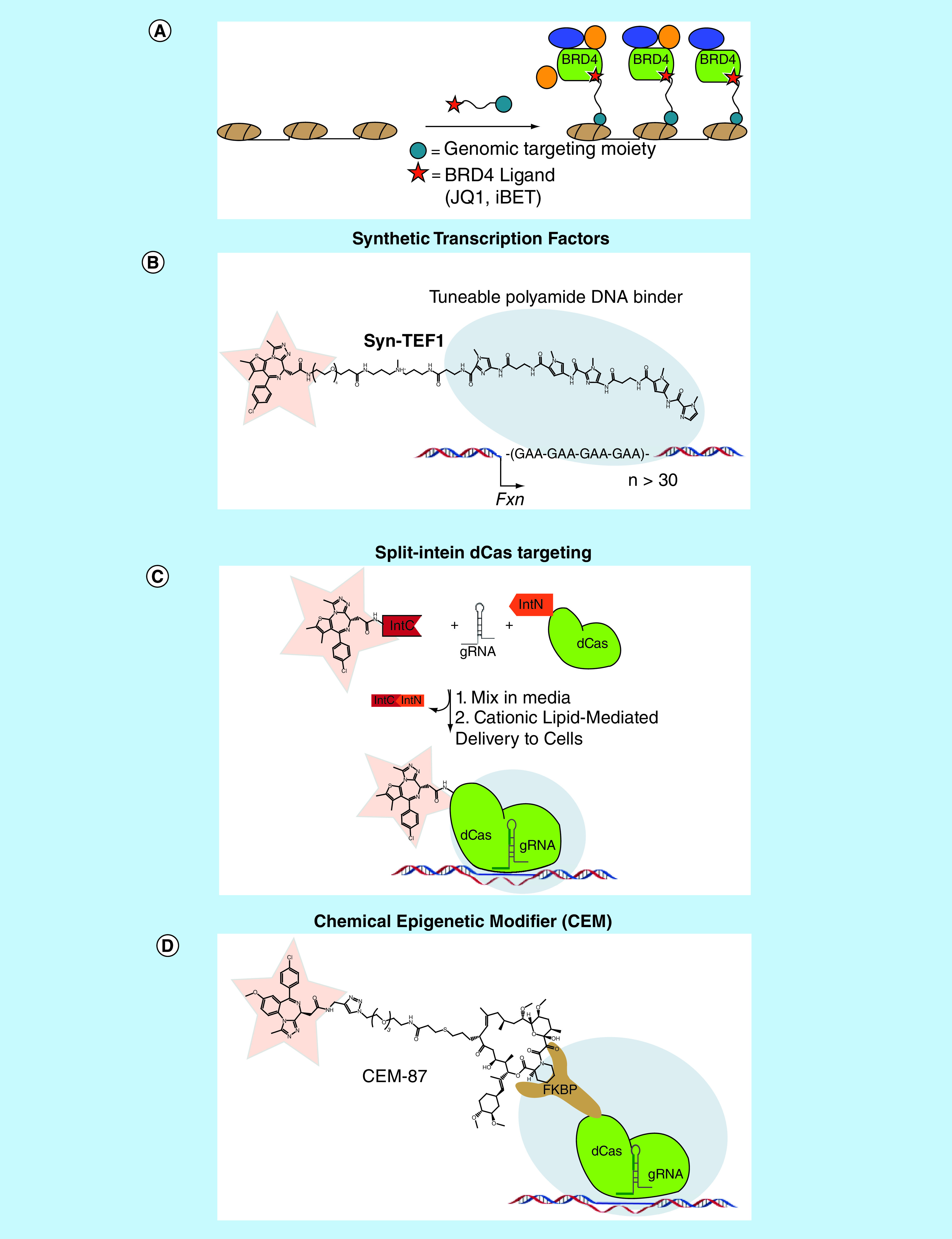 Figure 6. 