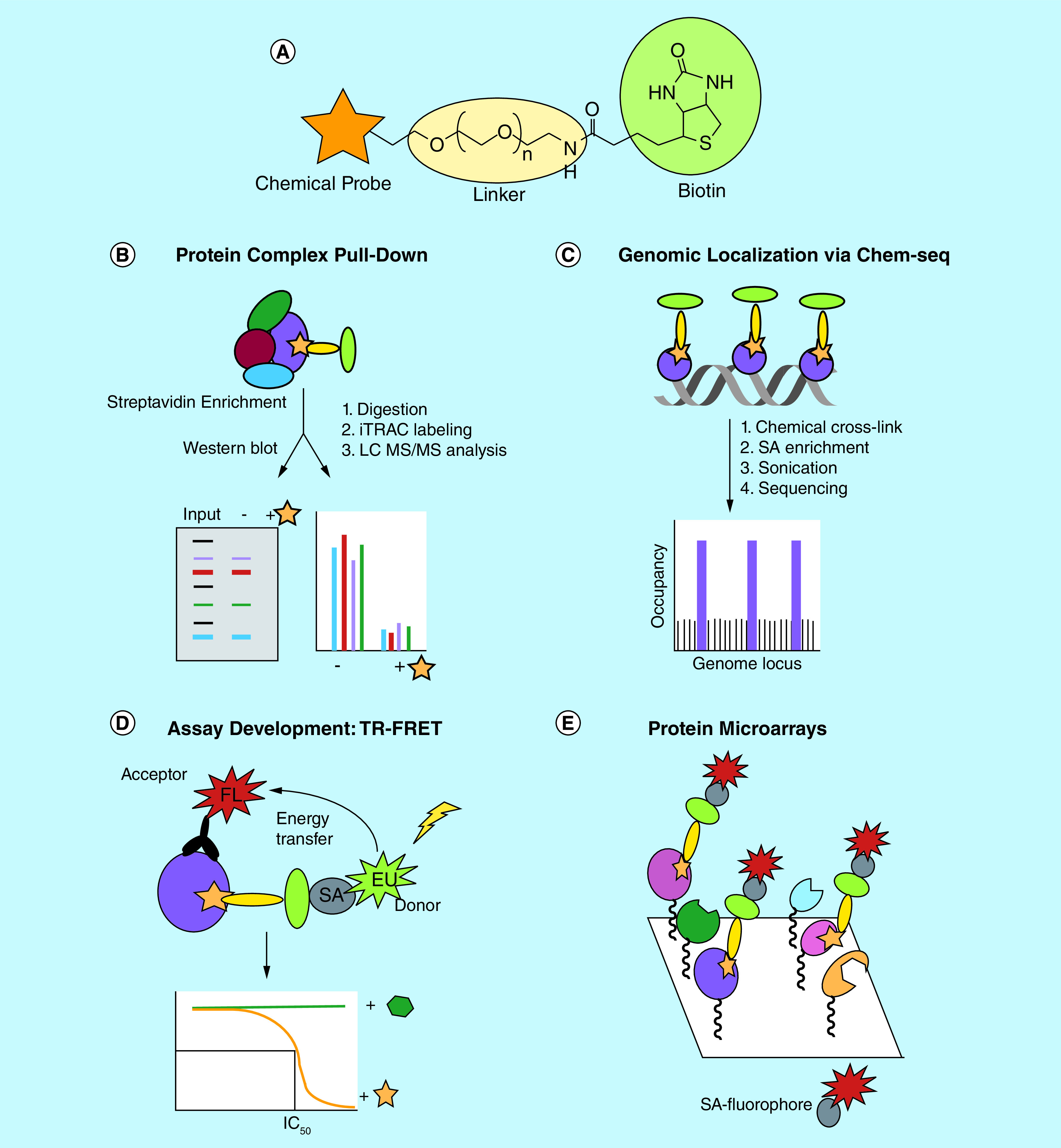 Figure 2. 