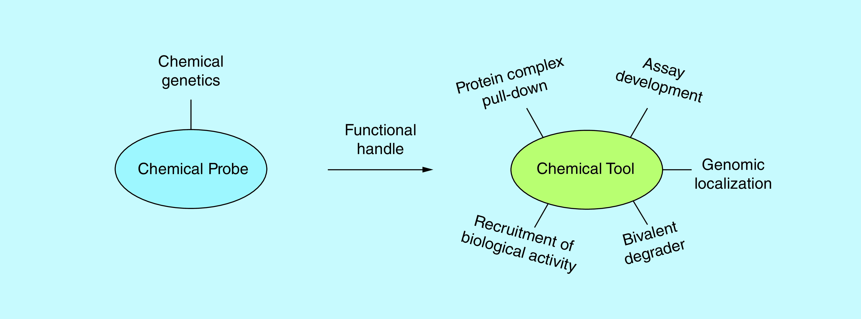 Figure 1. 