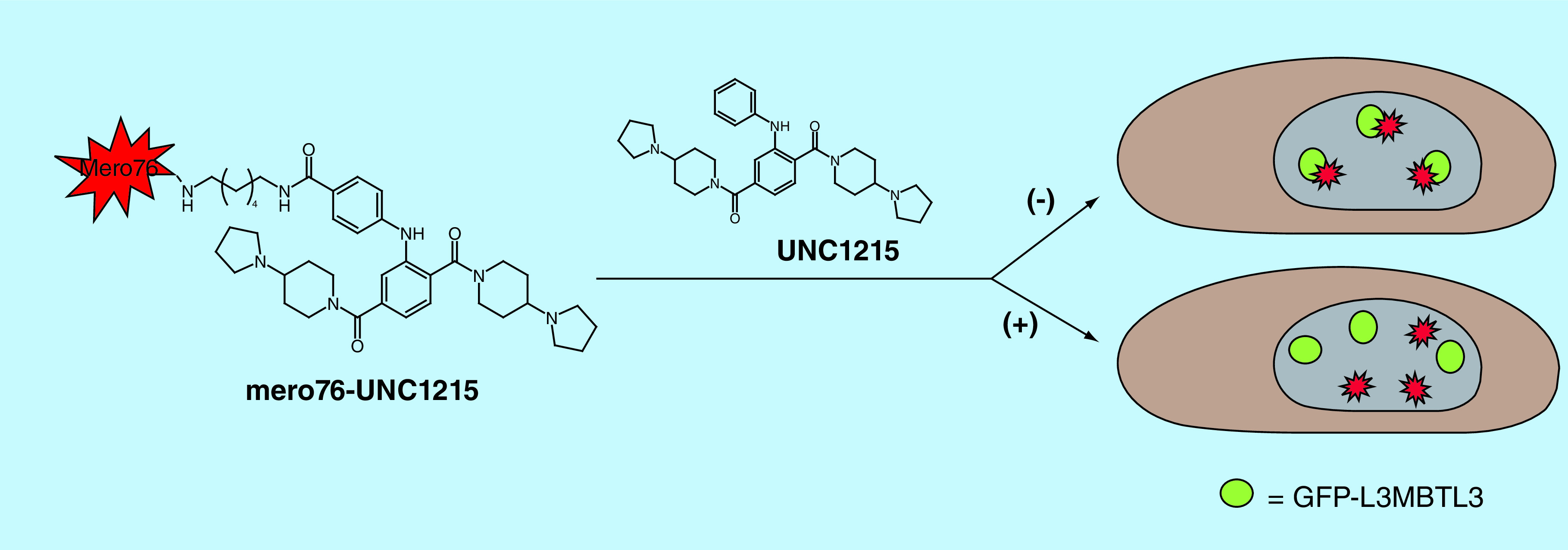 Figure 3. 