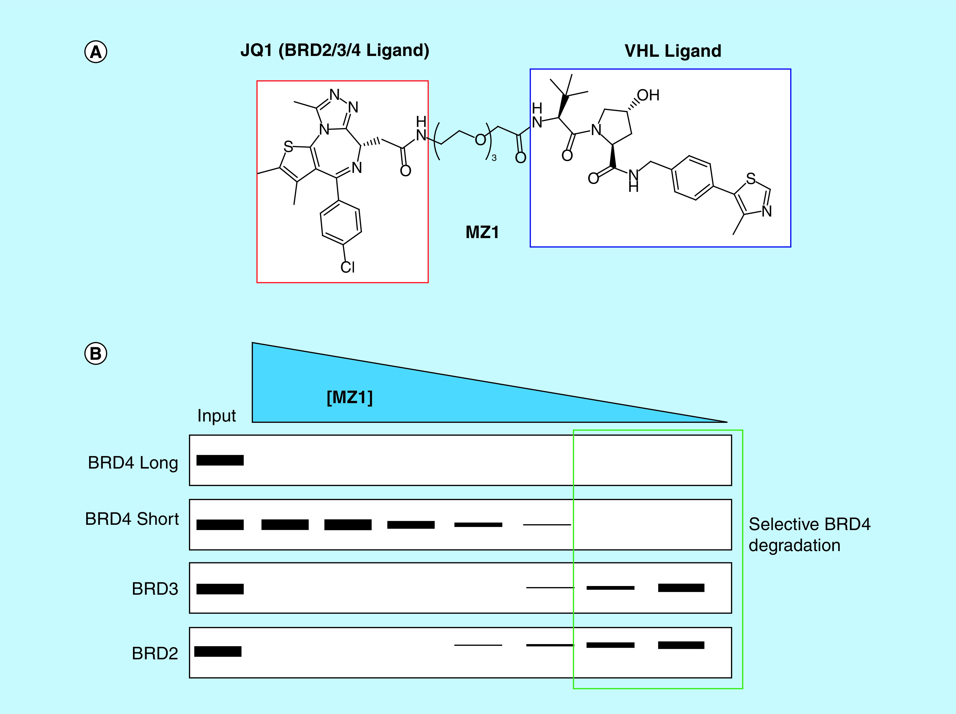 Figure 4. 