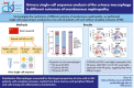 Graphical Abstract