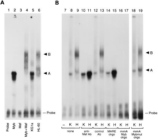 FIG. 8