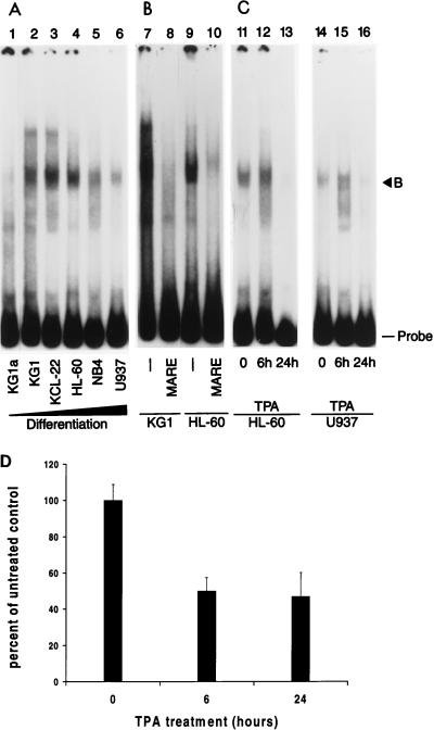 FIG. 9