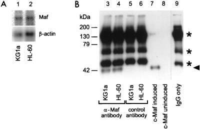 FIG. 7