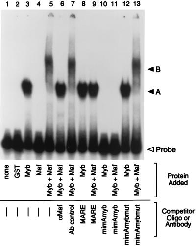 FIG. 5