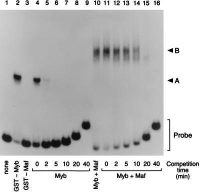 FIG. 10