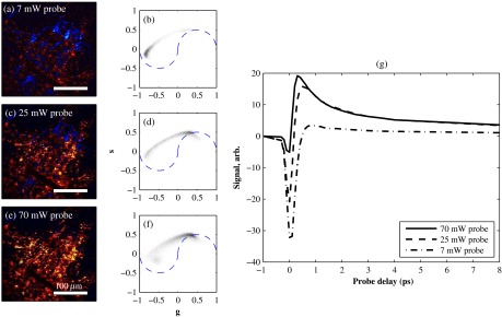 Fig. 8