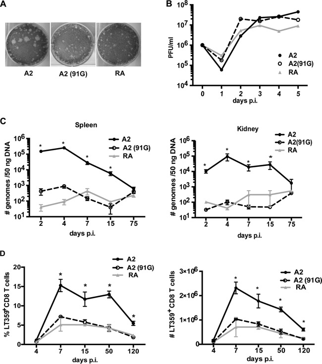 FIG 1