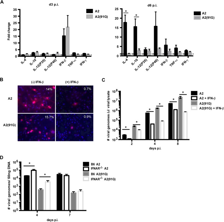 FIG 6