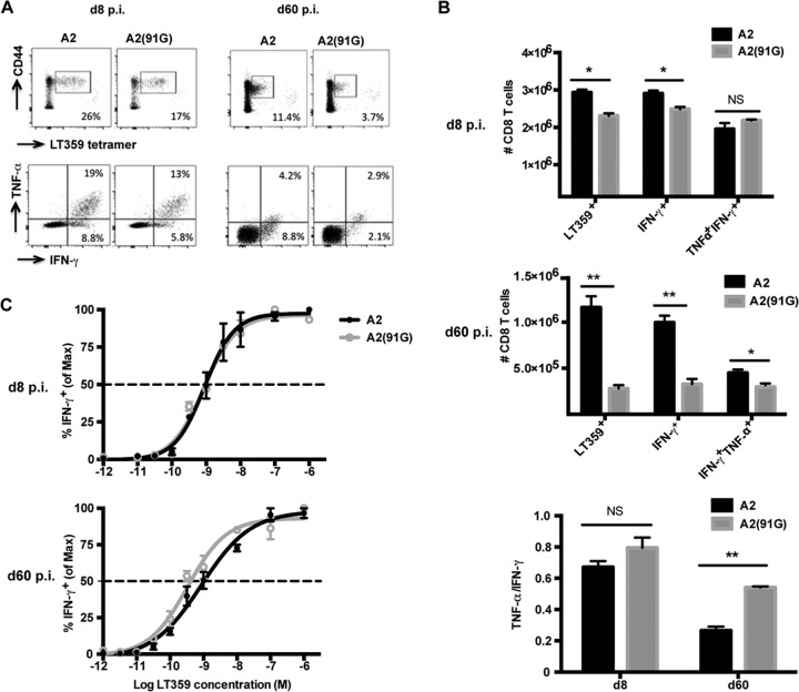 FIG 2