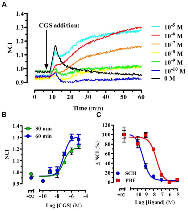 FIGURE 2