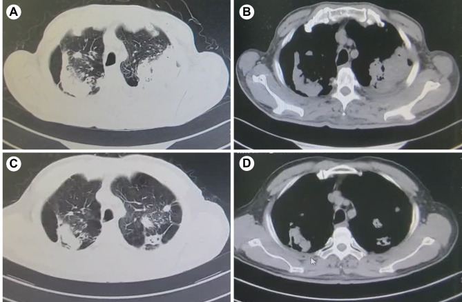 Fig. 5