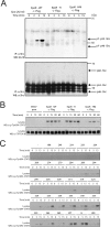 FIG. 8.