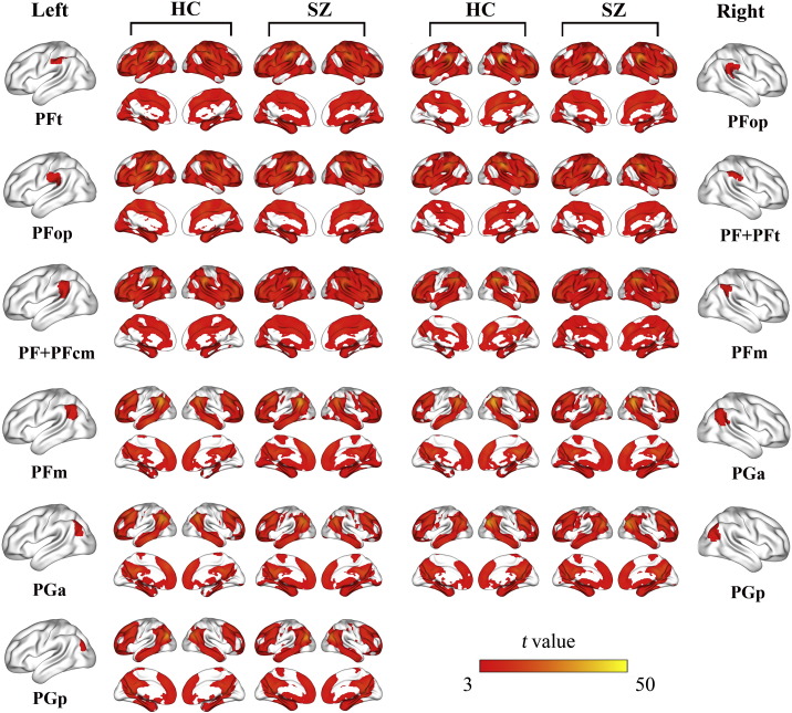 Supplementary figures