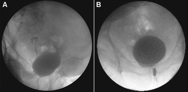 Figure 3