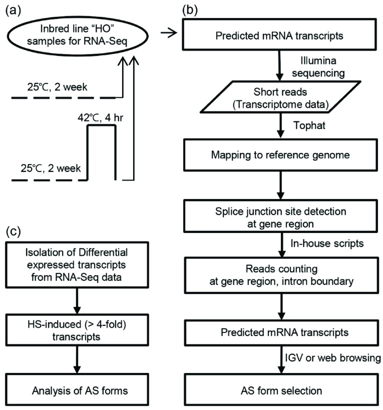 Fig. (1)