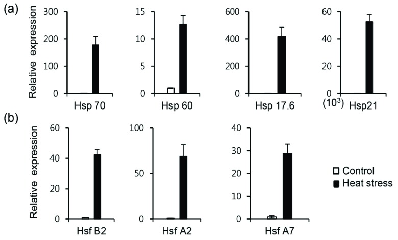 Fig. (5)