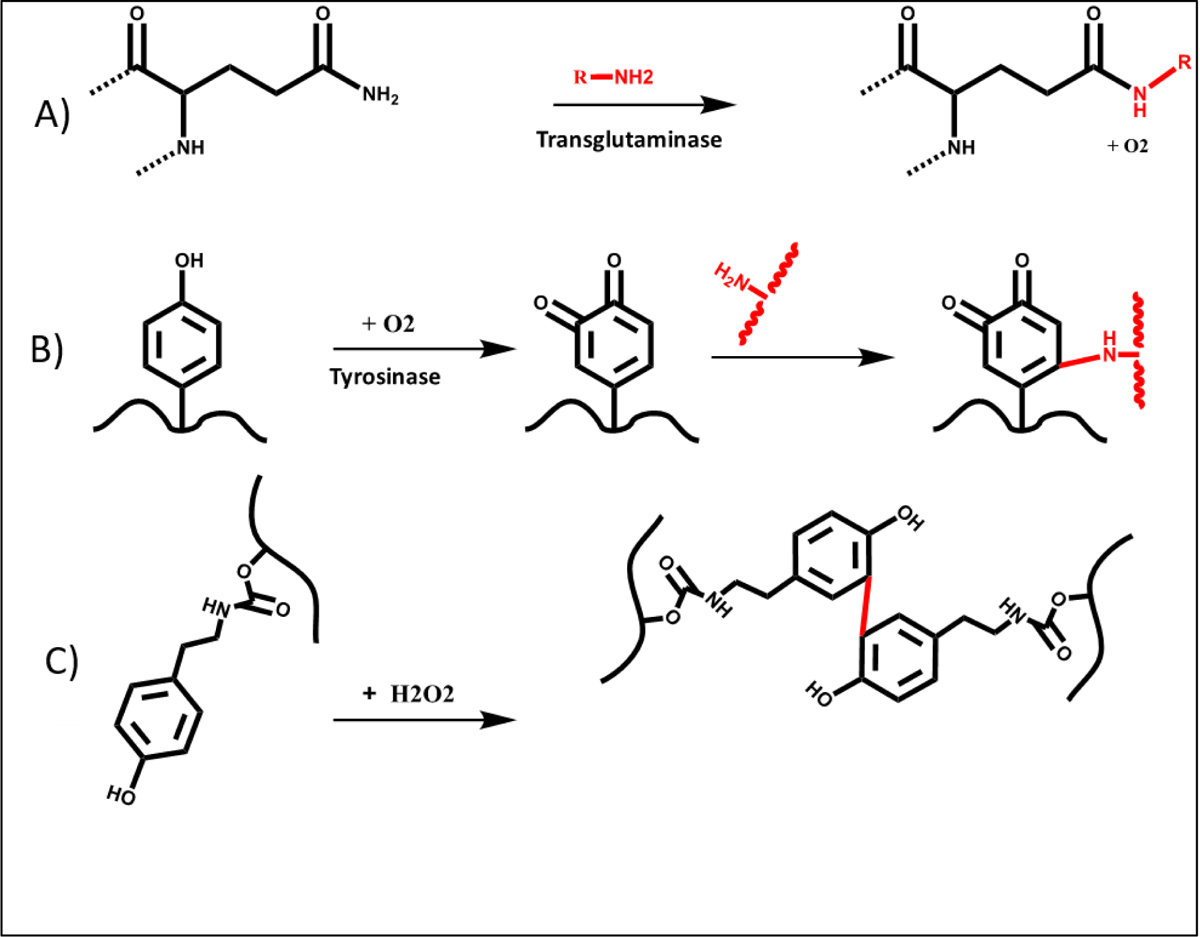 Figure 23.