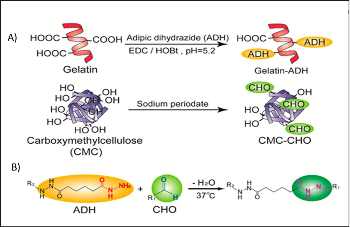 Figure 19.