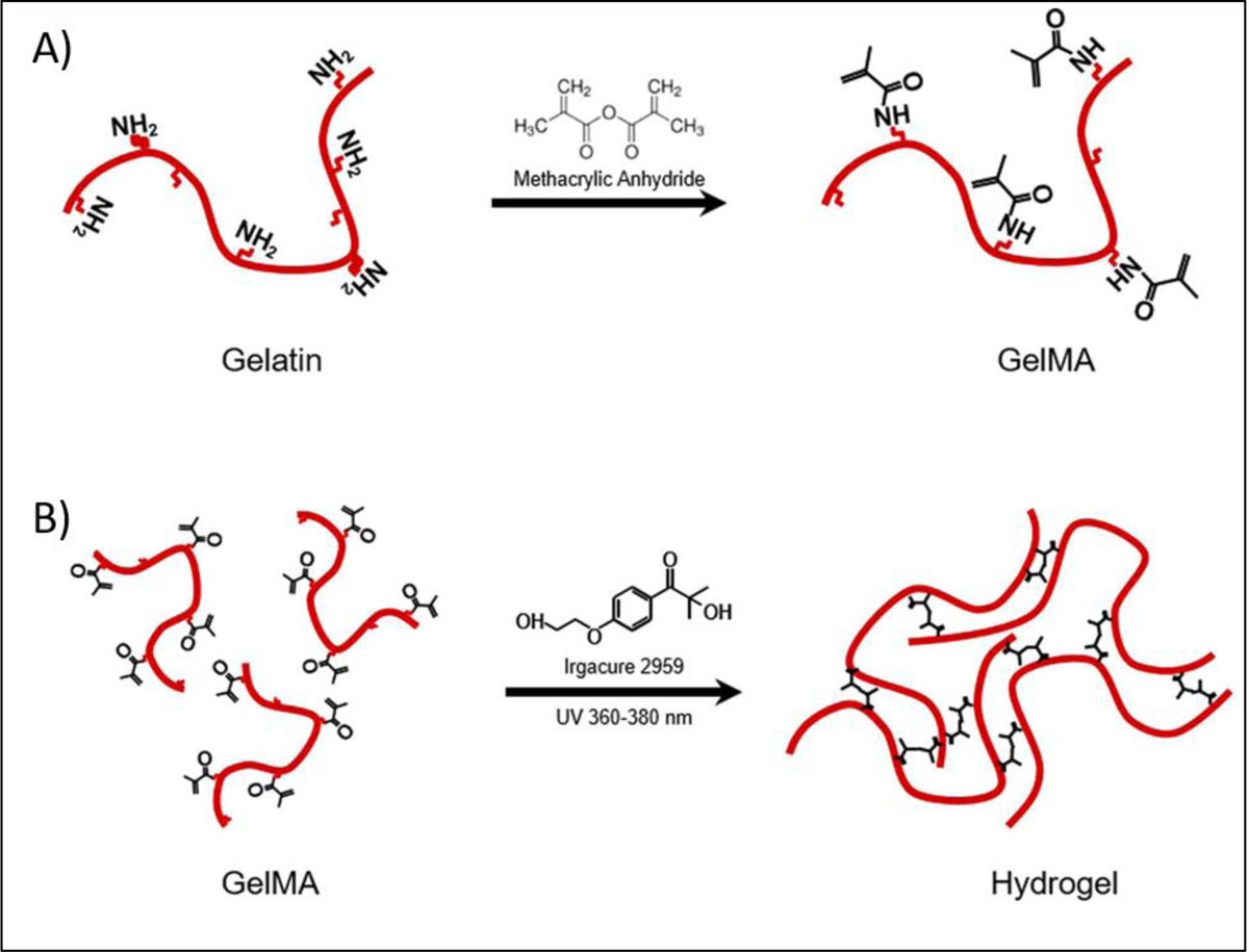 Figure 11.