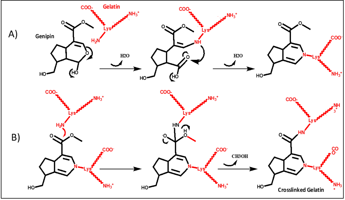 Figure 22.