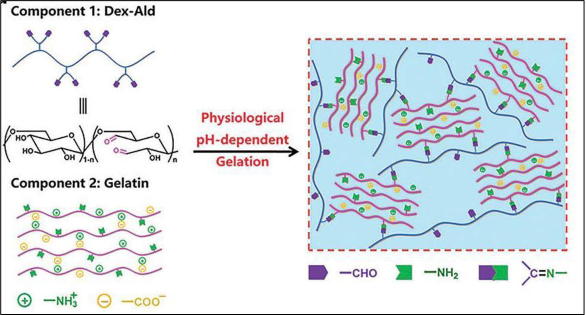 Figure 18.