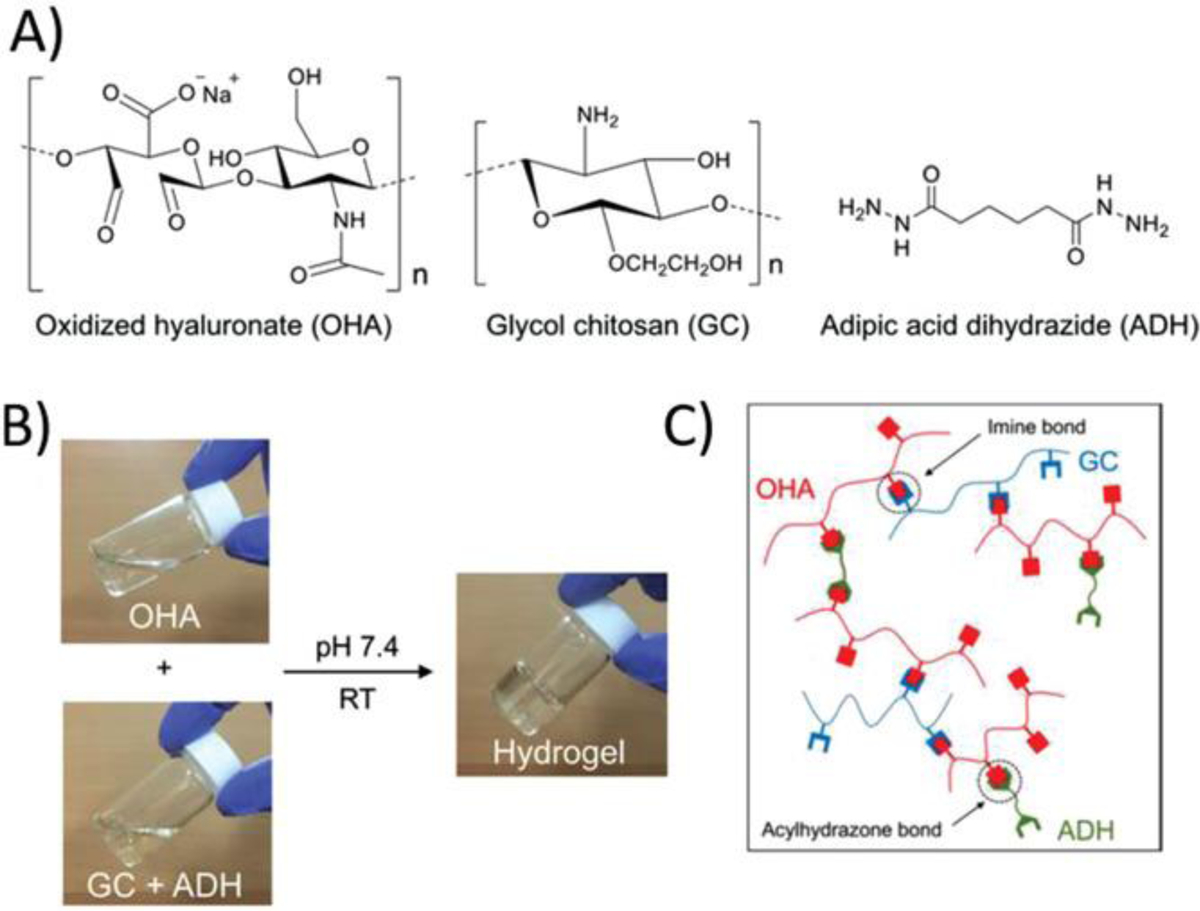 Figure 20.